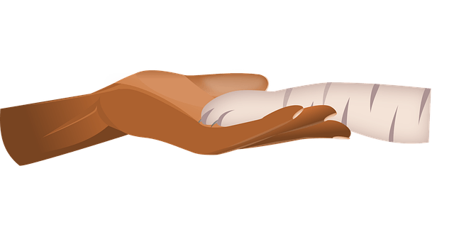 Patte de chat et main d'humain li&eacute;es